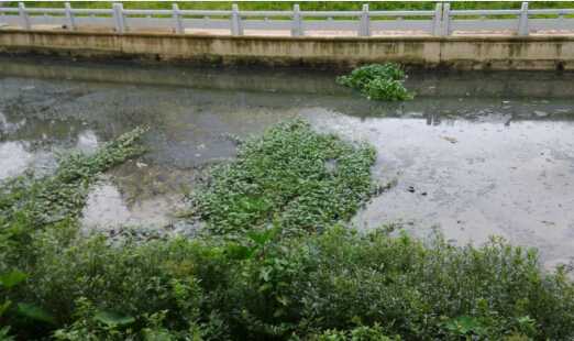 [廣東]河道清淤8寸立式泥漿泵，砂泵廠家直供